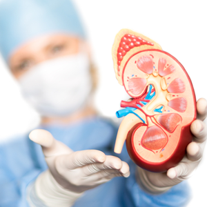 Kidney Transplant- Meditrina Hospital(best multispeciality hospital in nagpur)