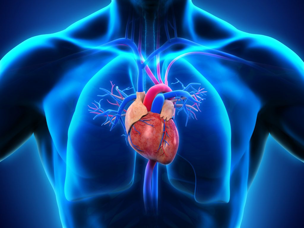 Meditrina Hospital best Heart Transplant hospital in nagpur